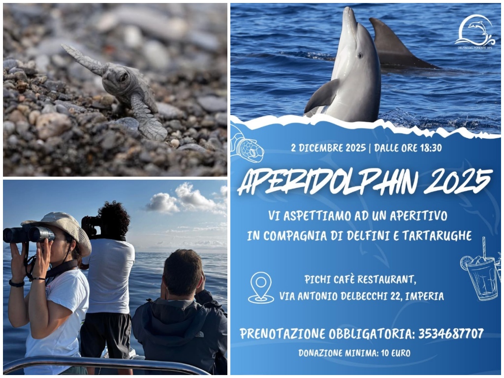 Aperidolphin 2025 Delfini Del Ponente